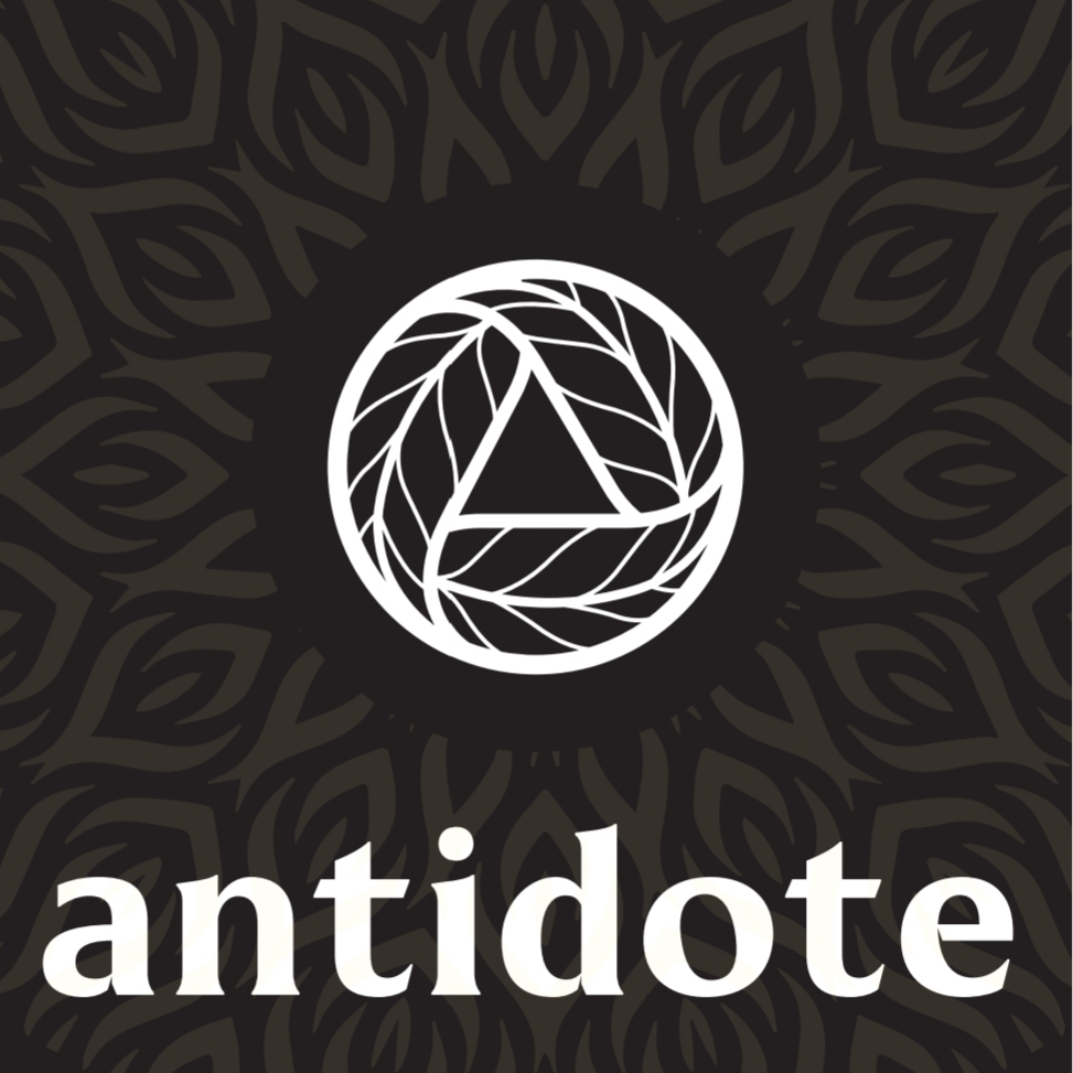 antidote definition literature